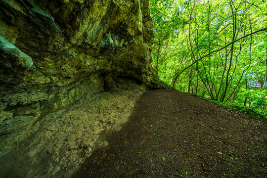 The Thuringian landscape is like a painting that would make even Bob Ross jealous &ndash; with more greenery than in a salad buffet