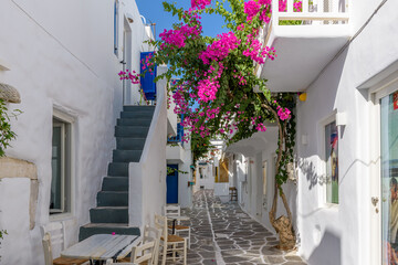 Traditional Cycladitic alley with a  narrow street, whitewashed facade of a house and a blooming bougainvillea in Naousa  Paros island, Greece. - obrazy, fototapety, plakaty
