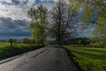 Fototapeta na wymiar Pasture land with road in spring fresh morning after night rain