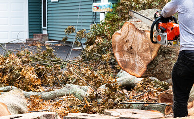 Cleaning up storm damage using a chainsaw