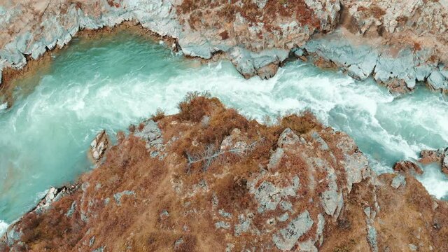 Flight over a mountain river from a bird's eye view, stormy streams of water, rocks and stones, rapids on the Chuya river in Gorny Altai. Autumn, blue water, yellow grass and a fallen tree. View drone