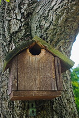 Budka lęgowa - domek dla ptaków . Nesting box for birds. © Grzegorz