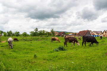 Landscape in Romania