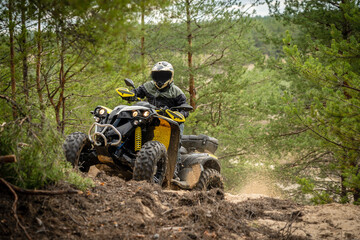 Professional quad biker rides in forest. Quad racing, ATV 4x4 - obrazy, fototapety, plakaty