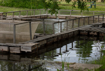 Fototapeta premium Fishing farm for carp breeding.