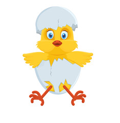 A cute little chicken sits in a cracked egg with its wings spread. Shell on the head. Isolated. Cartoon style. Vector illustration