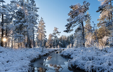 Freezing stream at sunset, the sun shines through the trees in the snow