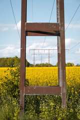 Old rusty power line poles in a yellow rapeseed canola farm field in idyllic Skåne Sweden