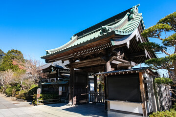 神奈川県鎌倉市 長谷寺 山門