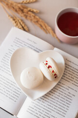 Fototapeta premium book and cup