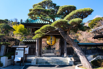 神奈川県鎌倉市 長谷寺 山門