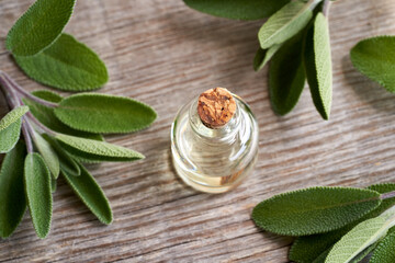 A bottle of sage essential oil with fresh sage