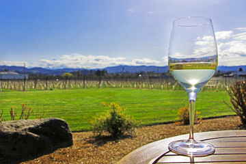 Glass with white wine on the wooden table with beautiful countryside in the background - green grass ,vineyards and mountains on a sunny day.