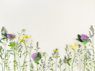 Mix of wildflowers on beige background with copy space.