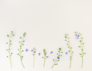 Wildflowers on beige background with copy space.