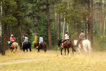 Horse tours near Edith a Annette Lake in Jasper National Park, AB.