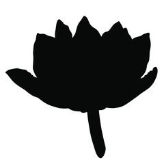 Hand drawn black vector  silhouette of tulip isolated on white background. Stock illustration of garden plant.