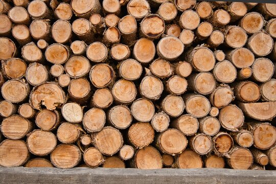legname impilato da ardere bosco tronchi catasta