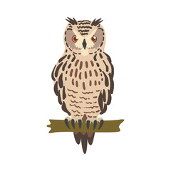 Owl Specie as Nocturnal Bird of Prey with Hawk-like Beak and Forward-facing Eyes Perching on Tree Branch Vector Illustration