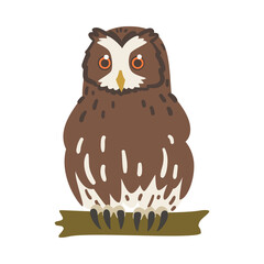 Owl Specie as Nocturnal Bird of Prey with Hawk-like Beak and Forward-facing Eyes Perching on Tree Branch Vector Illustration