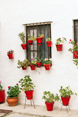 Fototapeta na wymiar Beautiful white facade of a typical Andalusian house in Spain with plants in red clay pots