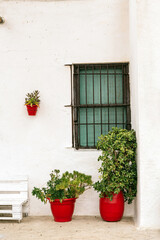 Beautiful white facade of a typical Andalusian house in Spain with plants in red clay pots