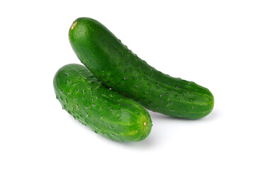 cucumber isolated on white background. fresh green vegetables