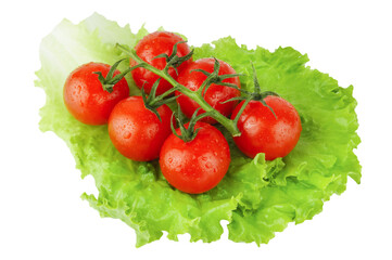 Ripe red cherry tomatoes bunch on green lettuce leaf isolated on white background. Fresh vegetables ingredients.
