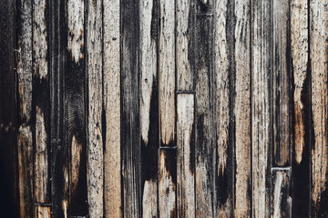 Old wooden planks. Surface background