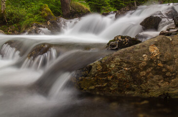 water from the river that comes from the mountain and passes through the forest and stones