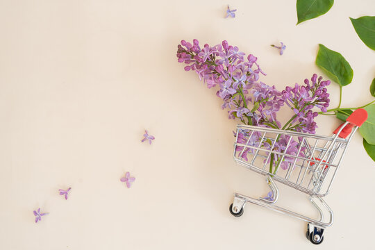 Lilac and purple flowers in a shopping basket.  on a yellow background Concept, summer discounts, sale. there is a place for text