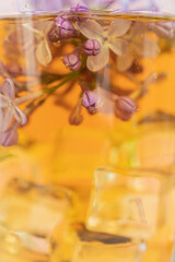 Lilac, purple flowers in a glass of tea. Concept, heat, quench your thirst, rest