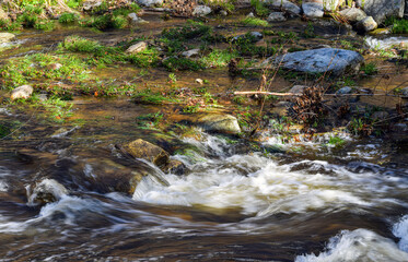water cascading over rock in willard brook