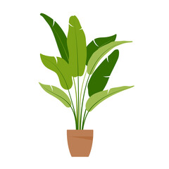 Fototapeta na wymiar Home plant. Potted plant isolated on white. Flat. Vector illustration.