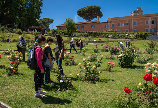 รูปภาพAventino เลือกดูภาพถ่ายสต็อก เวกเตอร์ และวิดีโอ822 Adobe Stock