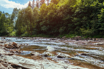 Summer mountain river surrounded with rocks, cliff and trees. Natural landscape background. View of wild nature