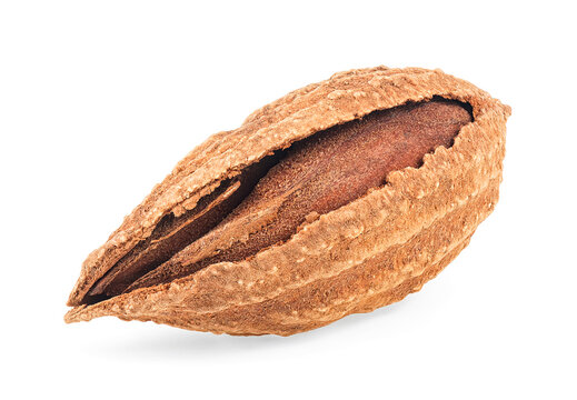 Almond nut in shell isolated on a white background, close up.