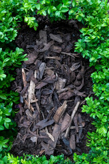 wood bark mulch