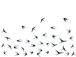 Flying martlet birds silhouettes vector illustration. Nomadic martlets flock isolated on white.