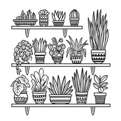 hand drawn cactus and succulent collection