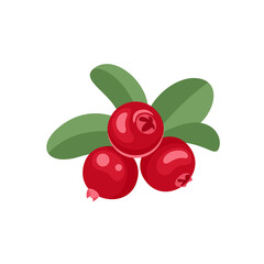 Cranberry vector cartoon illustration. Red berry flat icon. © Iv85
