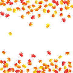 Maple leaves vector background, autumn foliage on white graphic design.