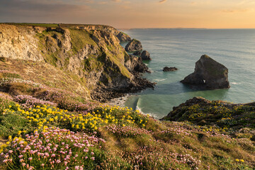 Beautiful landscape image during Spring golden hour on Cornwall coastline at Bedruthan Steps