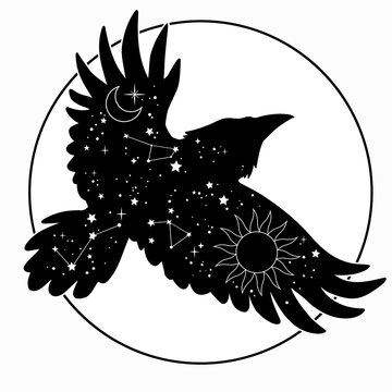 recommend clip art: black silhouette of a flying bird with stars and space on the wings