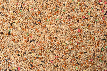 texture of bird food, tropical bird grain mix
