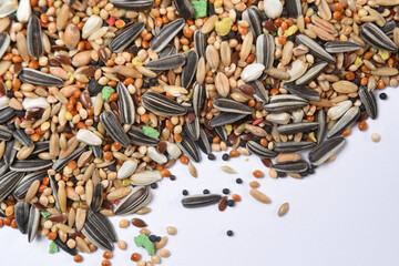 food mix of parakeet; lovebird; parrot…,blank space