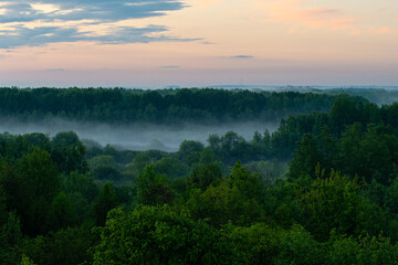 Fog spreads over the lowlands along the forest during sunset. Evening landscape