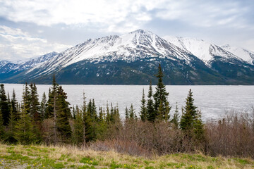 Tutshi Lake, evergreen trees and mountains in British Columbia