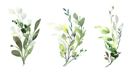 Watercolor floral illustration set - green eucalyptus leaf branches collection, for wedding invitation, greetings cards, wallpapers, background. Eucalyptus, green leaves. High quality illustration