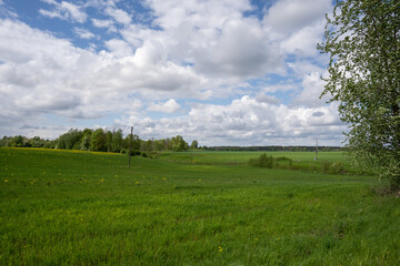 a large green meadow with beautiful fluffy moons and blue skies